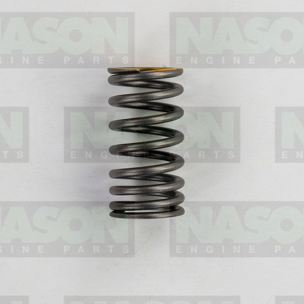 Valve Spring HYUNDAI G4KD G4KE G4KG VS1060 - NASON