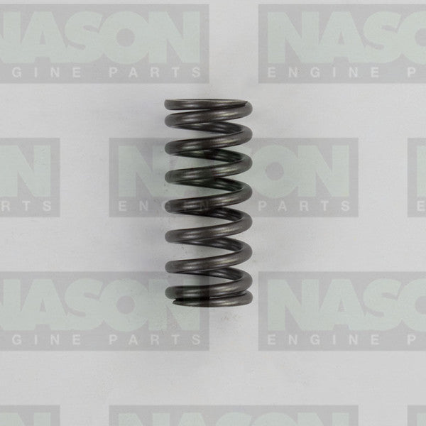 Valve Spring HYUNDAI D4HA D4HB VS1075 - NASON
