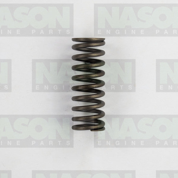 Valve Spring MITSUBISHI 4N15 DOHC EXHAUST VS1076 - NASON