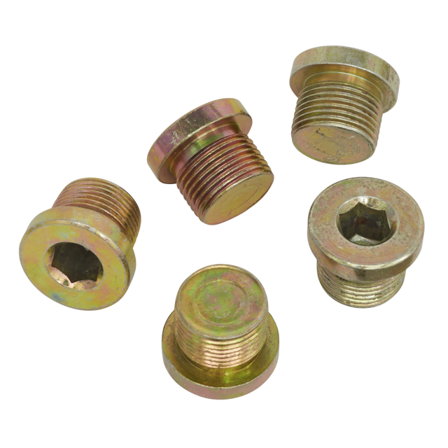 5 Pieces Sump Plug Repair Kit Replacement Plug M20 x 1.50 Suits PT10252 - PKTool