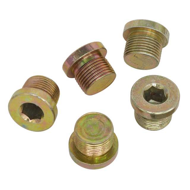 5 Pieces Sump Plug Repair Kit Replacement Plug M13 x 1.25 Suits PT10252 - PKTool | Universal Auto Spares