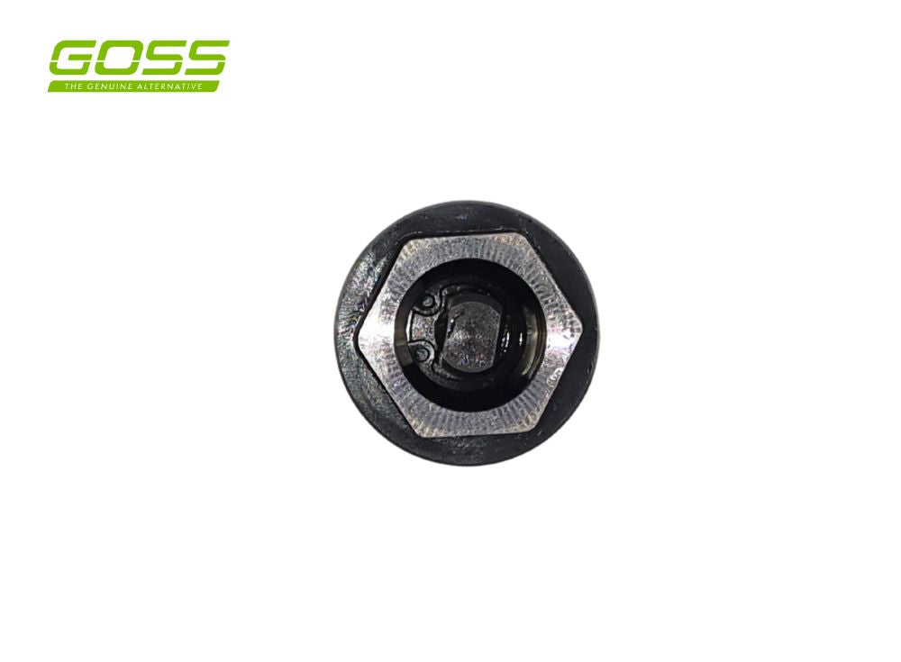 Variable Valve Timing Oil Control Valve VT199 - Goss