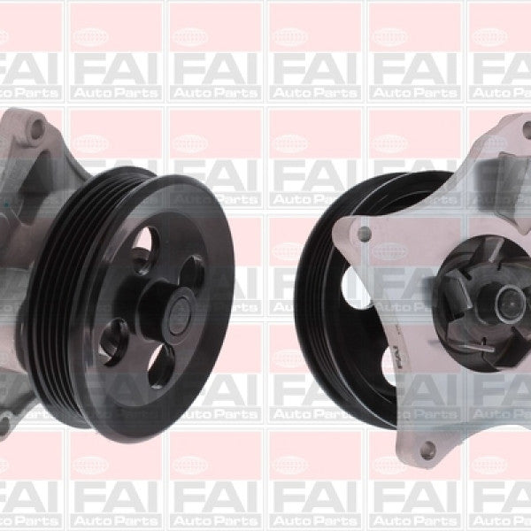 Water Pump Holden Astra B14X, Equinox LYX W6508 - FAI