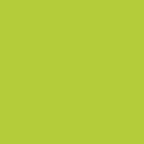 Painter’s Touch Plus Gloss Lime Green Spray - Rust-Oleum