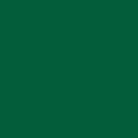 Painter’s Touch Plus Gloss Grass Green Spray 340g - Rust-Oleum