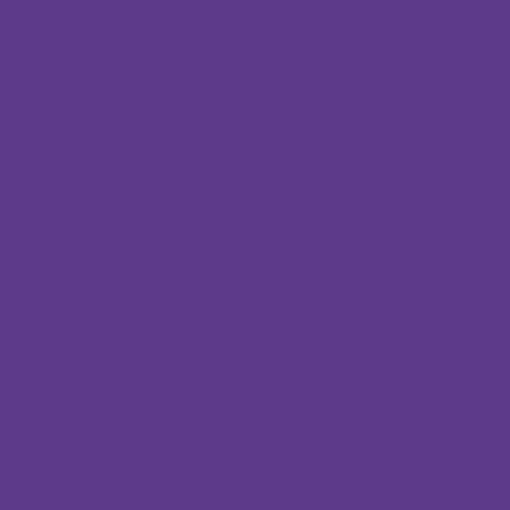 Painter’s Touch Plus Gloss Purple Spray 340g - Rust-Oleum