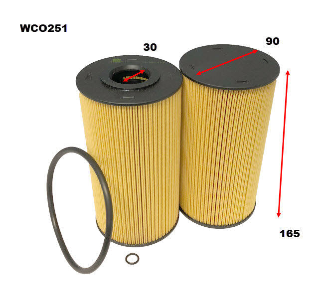 Oil Filter R2891P Fits Hino WCO251 - Wesfil