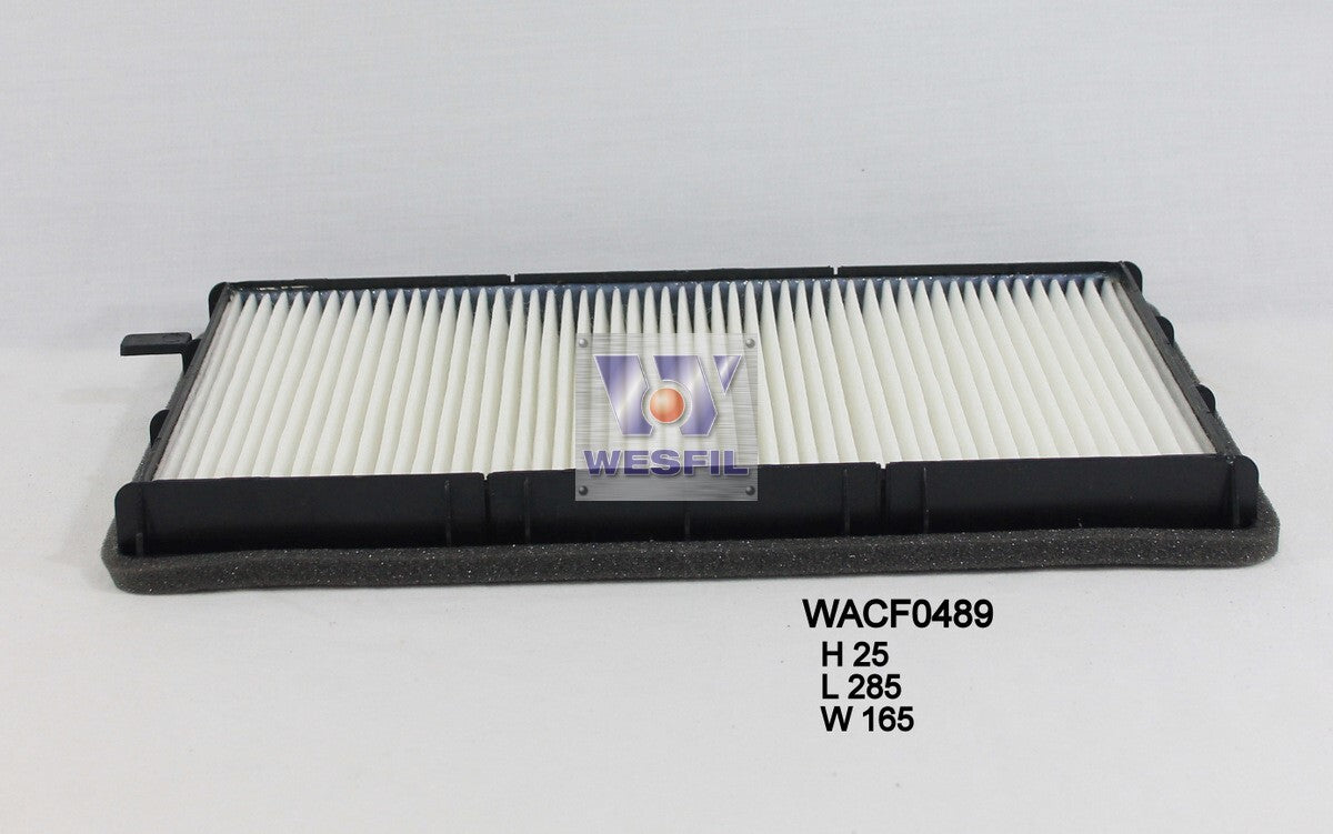 Cabin Filter RCA121P Fits BMW WACF0489 - Wesfil
