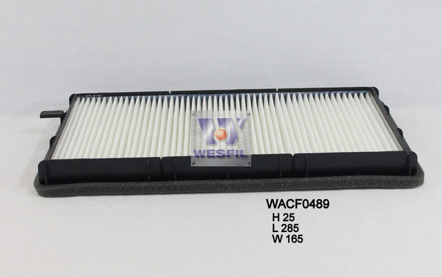 Cabin Filter RCA121P Fits BMW WACF0489 - Wesfil