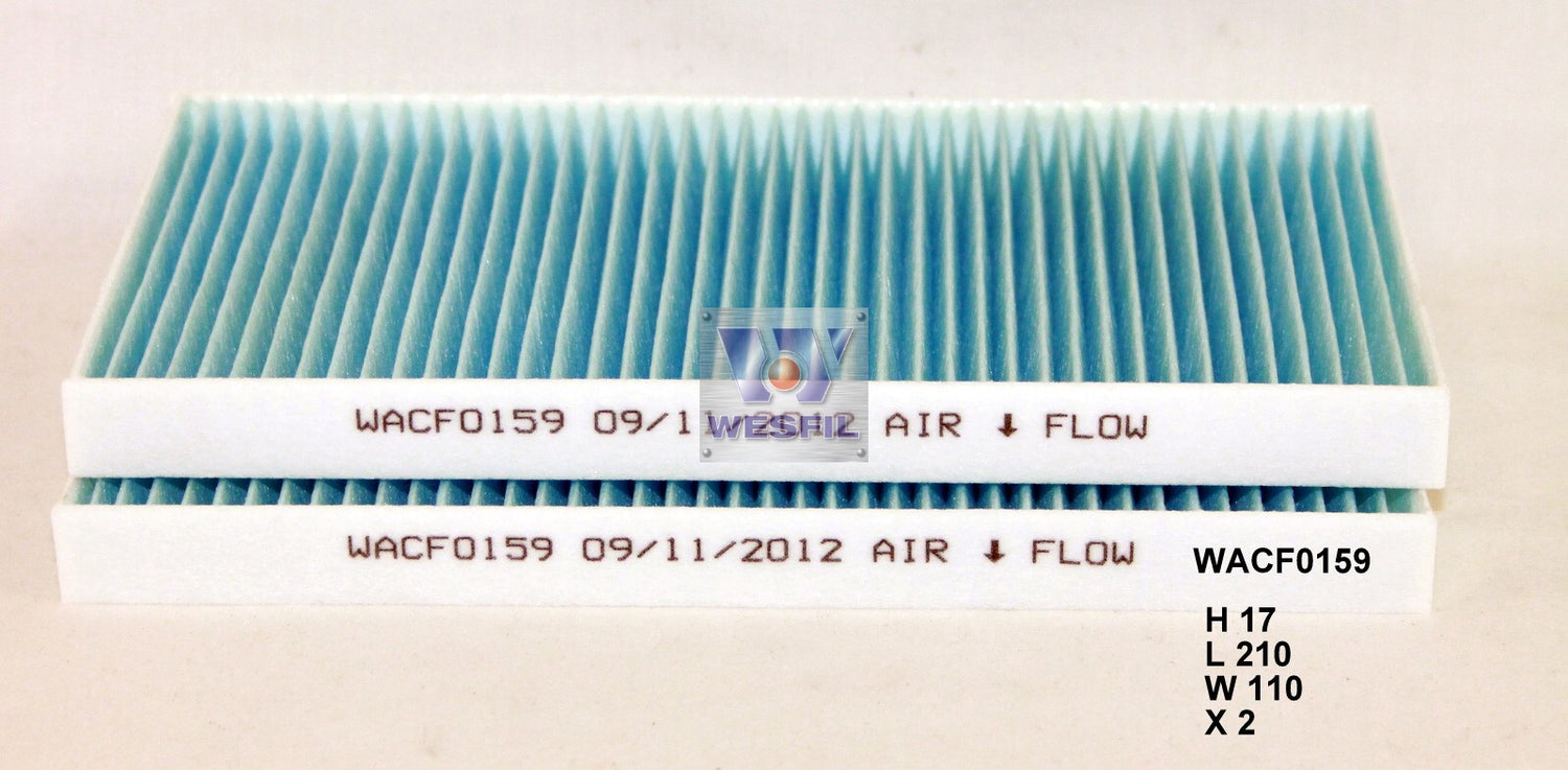 Cabin Filter RCA291P Fits Kia WACF0159 - Wesfil