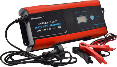10amp Intelligent Battery Charger - PKTool