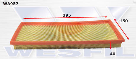 Air Filter A1325 Fits Ford WA957 - Wesfil