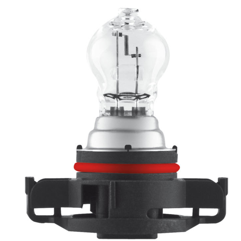 PSX24W 12V 24W PG20-1 - Osram