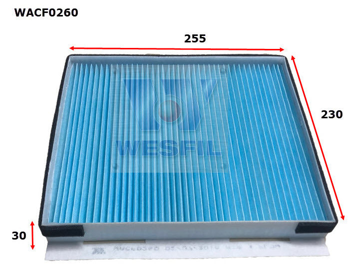 Cabin Filter RCA394P Fits Hyundai/Kia WACF0260 - Wesfil