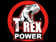T-Rex Power Fast Grab 290mL - Soudal