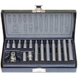 15 Piece 1/4" Hex Metric Hex Bits Set - PKTool