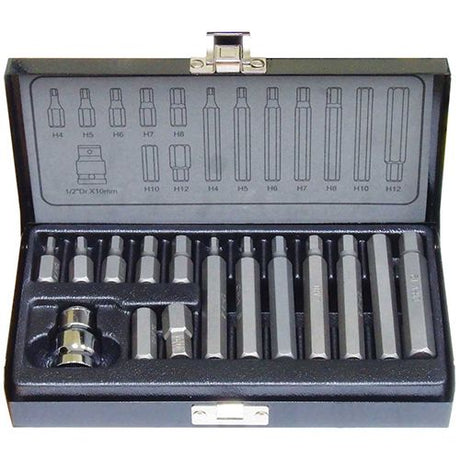 15 Piece 1/4" Hex Metric Hex Bits Set - PKTool