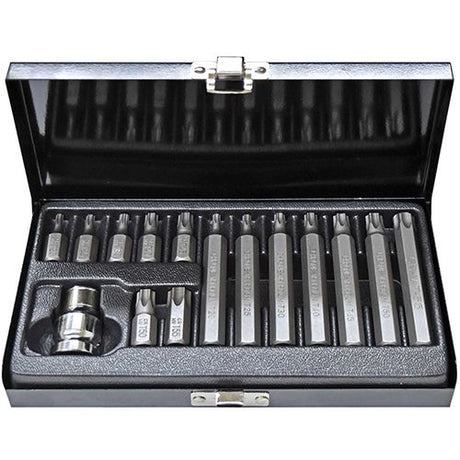 15 Pieces 10mm Hex Star Bits Set - PKTool