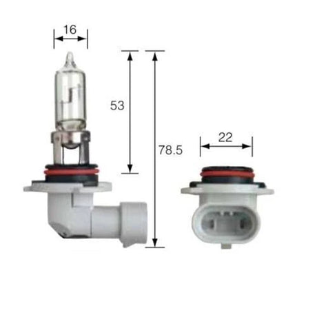 12V Hb3 60W Plus 100 Halogen Headlight Globes 2 Pieces - Narva