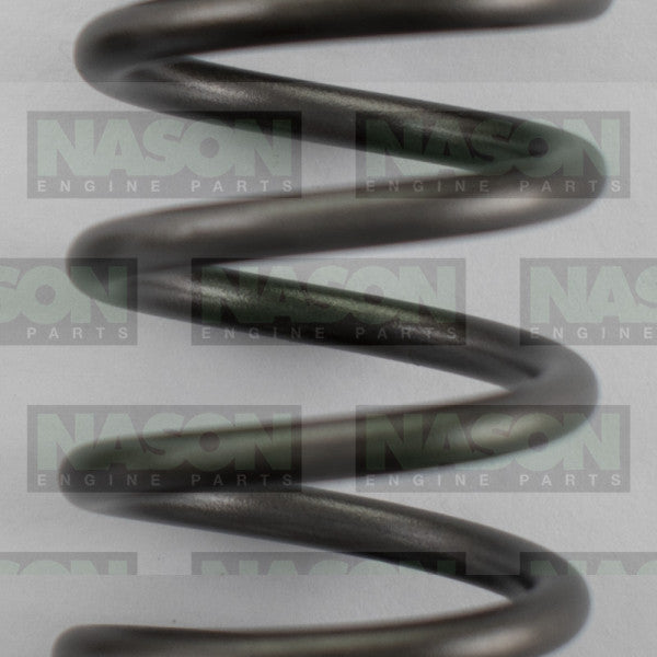 Valve Spring HOLDEN ISUZU 4JJ1T VS1028 - NASON