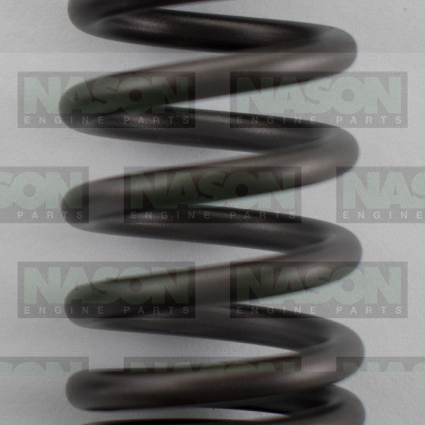 Valve Spring HOLDEN F16D4 F18DH DOHC 16V VS1058 - NASON