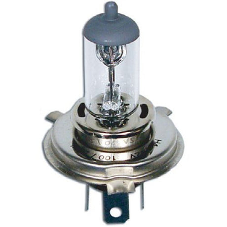 Headlamp Globes H4 60/55W Halogen Globe Halogen - Motolite | Universal Auto Spares
