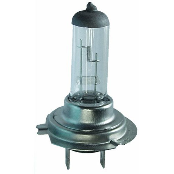 H7 55W Halogen Globe Halogen - Motolite