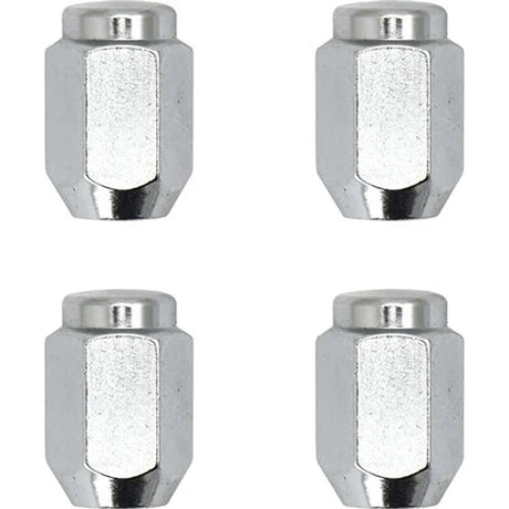 Wheel Nut Set 4 Pieces, 4 Sizes of Steel Wheel Chrome - ProTyre