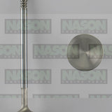 Valve Inlet FORD MODULAR 5.4L 37MM HEAD 01-2146-8 - ENGINE PRO