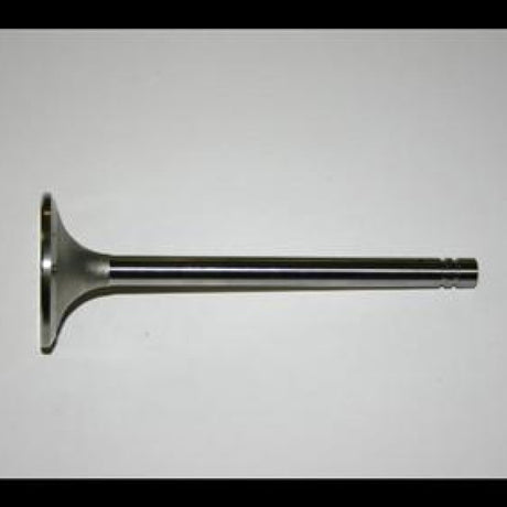 Valve Exhaust CATERPILLAR 3304 3306 01491S - SBI