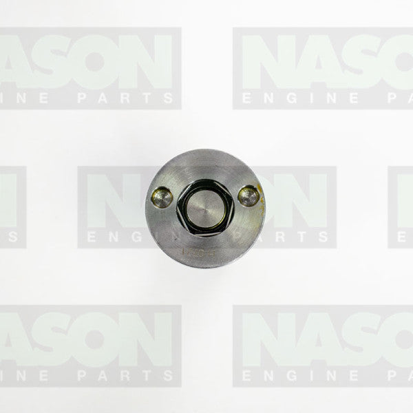 Camshaft Oil Control Valve VOLKSWAGEN BYT BZB CABB CAWA 06H-109-257C - NEP
