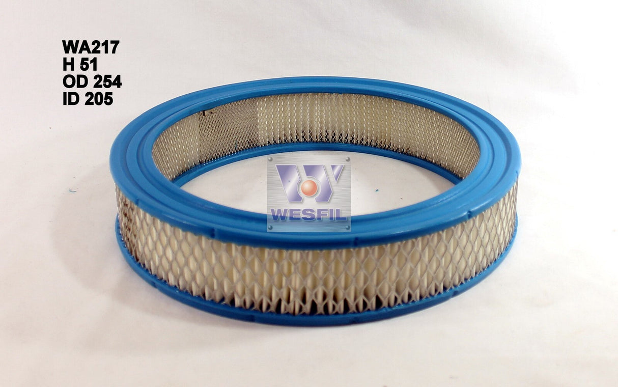 Air Filter A217 Fits Ford WA217 - Wesfil
