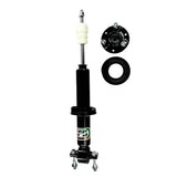ELITE STRUT FRONT 38 - 5658 - EFS - EFS