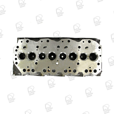 Cylinder Head Nissan QD32 10061069 - Kiwi Cylinder Heads