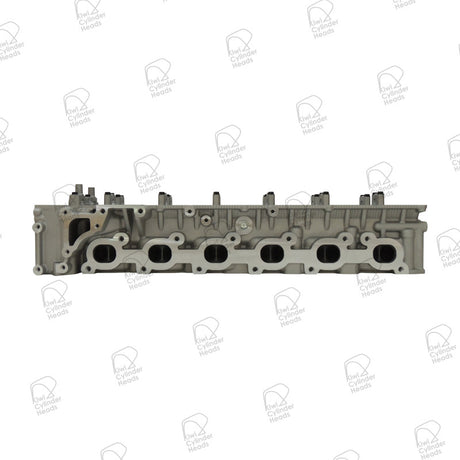 Cylinder Head Nissan TB48 10061429 - Kiwi Cylinder Heads