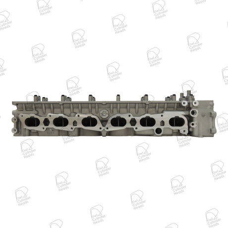 Cylinder Head Nissan TB48 10061429 - Kiwi Cylinder Heads