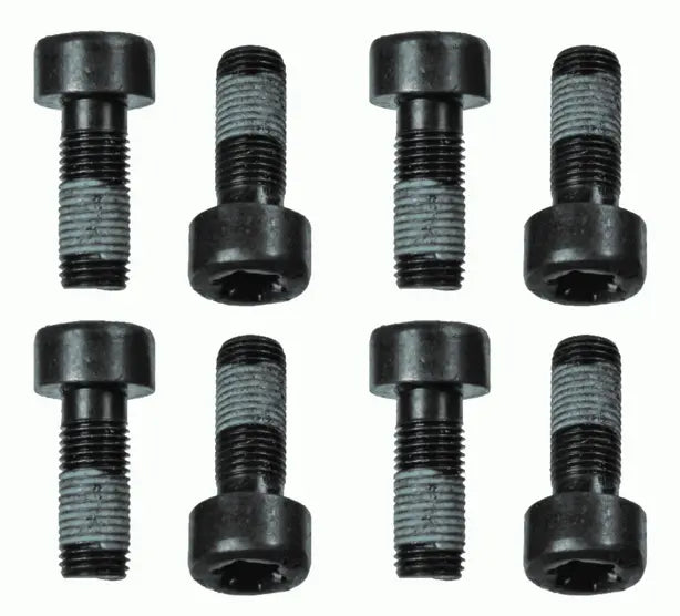 Screw Set, Flywheel 1874 000 060 - SACHS