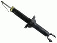 Shock Absorber 313 636 - SACHS