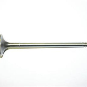 Valve Inlet CATERPILLAR C11 13032 - SBI