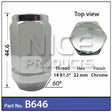 Chrome Nut 22mm HEX B646 - Nice Products | Universal Auto Spares