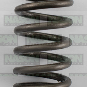 Valve Spring HOLDEN ISUZU 6VD1 6VE1 DOHC 160-1372 - SBI