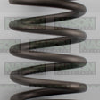 Valve Spring NISSAN K21 K25 160-1505 - SBI