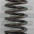 Valve Spring HOLDEN LE5 LE9 2.4 DOHC 160-1508 - SBI
