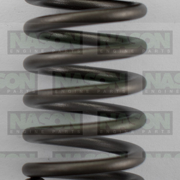 Valve Spring HOLDEN LE5 LE9 2.4 DOHC 160-1508 - SBI