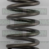 Valve Spring HOLDEN LE5 LE9 2.4 DOHC 160-1508 - SBI