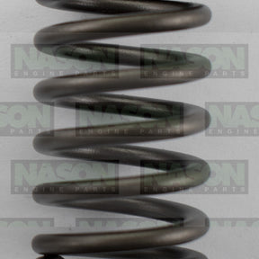Valve Spring HOLDEN LE5 LE9 2.4 DOHC 160-1508 - SBI