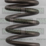 Valve Spring NISSAN TB45 OHV 12V INNER 160-1564 - SBI