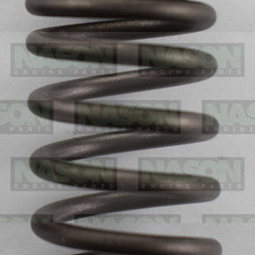 Valve Spring NISSAN TB45 OHV 12V INNER 160-1564 - SBI