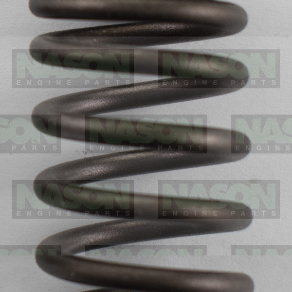 Valve Spring NISSAN TB45 OHV 12V INNER 160-1564 - SBI
