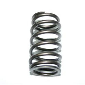 Valve Spring ISUZU 6HE1 160-1567 - SBI